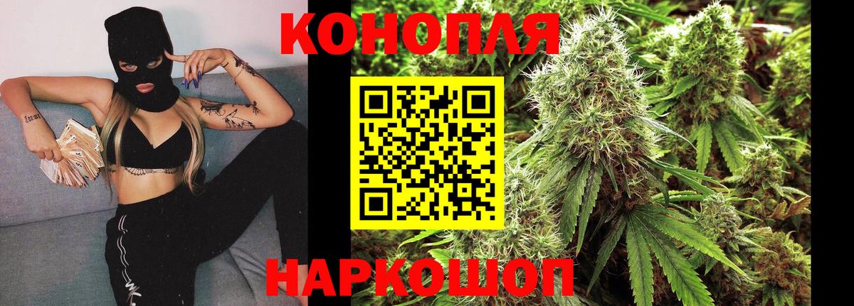 ГАШ Моздок